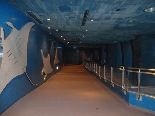 美ら海水族館の混み具合は？