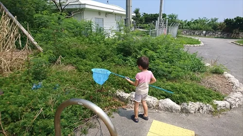 南上原糸蒲公園