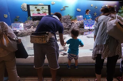美ら海水族館