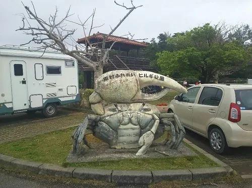 東村ふれあいヒルギ公園