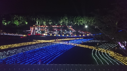 東南植物楽園