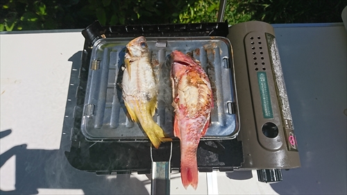 今帰仁キャンプ場