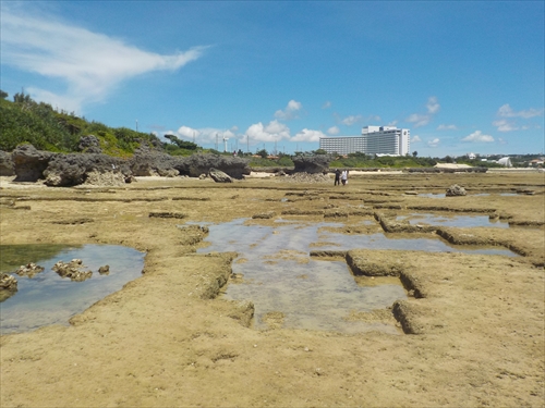 残波ビーチの奥で熱帯魚